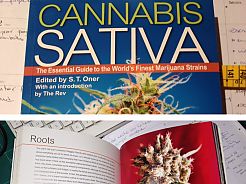 Nuevo libro de Cannabis Sativa: Roots