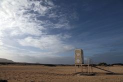 Cannabis cup ACMEFUER - CANAFAC and San Canuto in Fuerteventura