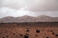 Copa cannábica ACMEFUER - CANAFAC y San Canuto en Fuerteventura