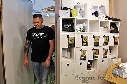 Reggae Seeds in Spannnabis 2014