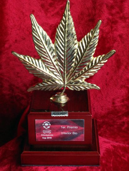1er prix intérieur bio DANCEHALL. Cannabis Champions Cup 2010, Barcelona. 