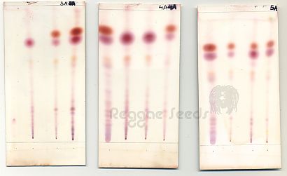 Thin Layer Chromatography