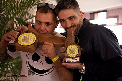 San Canuto 2015, ACMEFUER, Fuerteventura and three awards to Reggae Seeds in different categories.