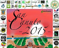 San Canuto 2015, ACMEFUER, Fuerteventura and three awards to Reggae Seeds in different categories.