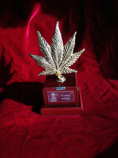 1er premio interior bio RESPECT. Cannabis Champions Cup 2012, Barcelona.