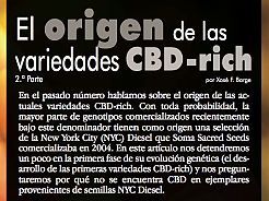 Articolo: L'origine della varietà CBD-rich (parte 2)