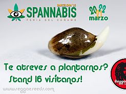 Stiamo per incontrare a Spannabis 2015, Barcellona.