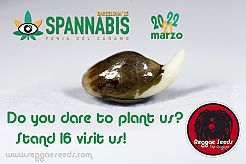 Stiamo per incontrare a Spannabis 2015, Barcellona.