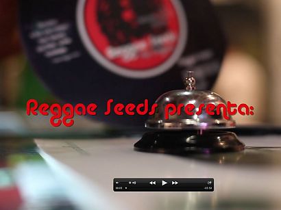 Reggae Seeds we present a video of our stay in Spannabis 2015.