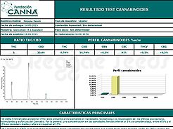 Resultados test de cannabinoides: buscando plantas sólo CBD.