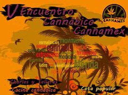2e prix intérieur bio avec Juanita la Lagrimosa by Reggae Seeds, V cannabis réunion Cannamex, Merida 2015