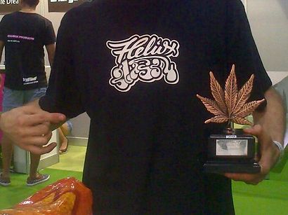 3rd prize BHO with Thousand Flowers by Reggae Seeds, Spannabis Málaga, 2015