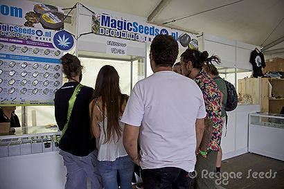 Expogrow Irún, our first time