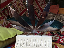 1r prix a l'intérieur bio avec Blackdance, XIV coupe Alacannabis, Alicante. 2016