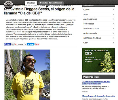 Entrevista a Reggae Seeds, el origen de la llamada “Ola del CBD” 