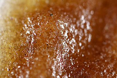 Macro photograph of resins.