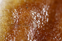 Macro photograph of resins.