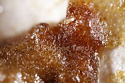 Macro photograph of resins.