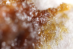 Macro photograph of resins.