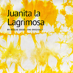 Juanita la Lagrimosa