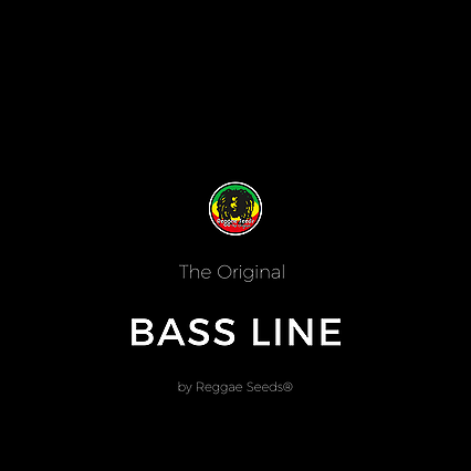 Bass Line