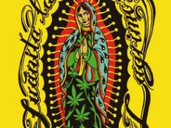 Reggae Seeds team traveled to Chile, we will cannabis fair Chilegrow this November.