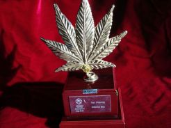 1st award indoor bio RESPECT. Cannabis Champions Cup 2012, Barcelona.