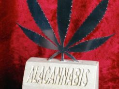 2nd award indoor bio SESSION. Alacannabis 2012, Alacant. (1ºSessionReus-3ºDancehall)