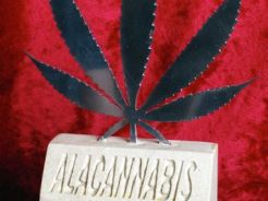 1st award indoor bio DANCEHALL. Alacannabis 2010, Alacant.