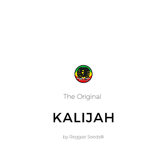 Kalijah