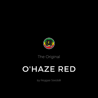 O' Haze Red