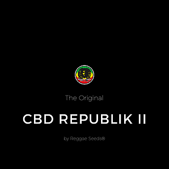 CBD Republik II