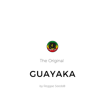 Guayaka