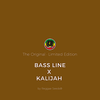 Bass Line x Kalijah