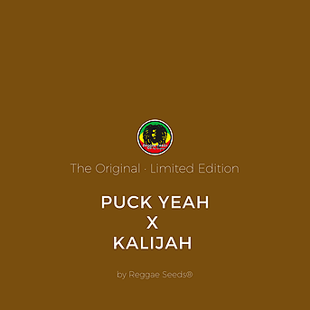 Puck Yeah x Kalijah