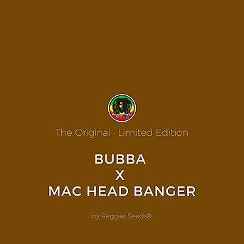 Bubba x MAC head banger