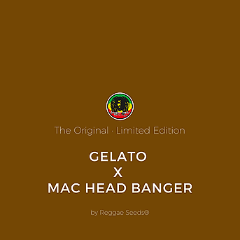 Gelato x MAC Head Banger